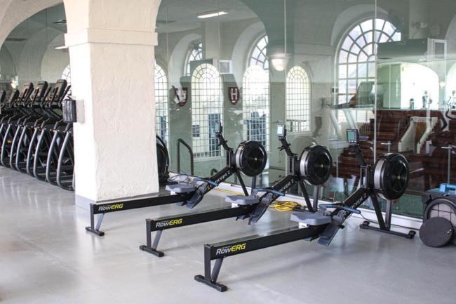 Three rowing machines in a line inside of the Harvard recreational facilities. 