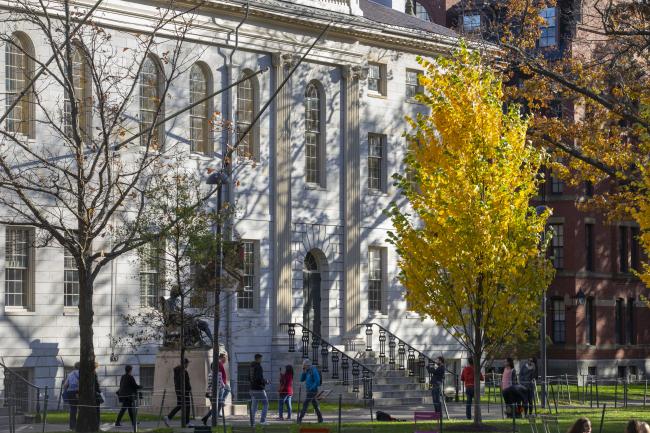 An image of campus, a white large building on a fall day. There is a bright yellow tree.