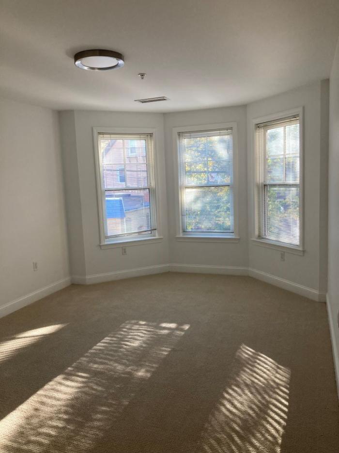 Primary Bedroom Windows