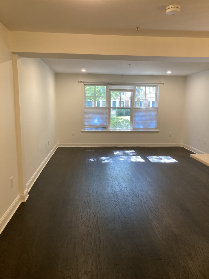 Open living area with hard dark flooring and large windows
