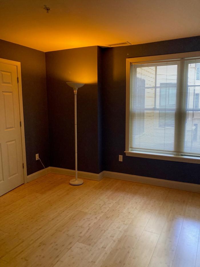 Bedroom with large windows, dark wall paint, and light hardwood flooring.