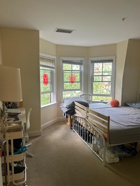 Bedroom with bay windows and carpeting