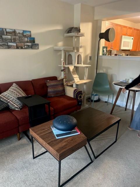 Combined living and dining area with carpeted flooring