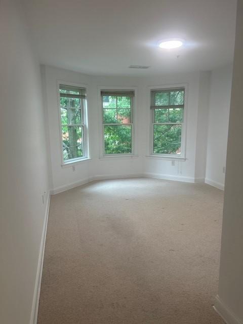 Primary bedroom with bay windows, overhead lighting, and carpet flooring