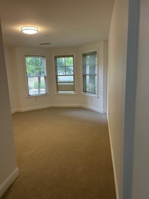 Primary bedroom with carpet flooring, bay windows, and overhead lighting