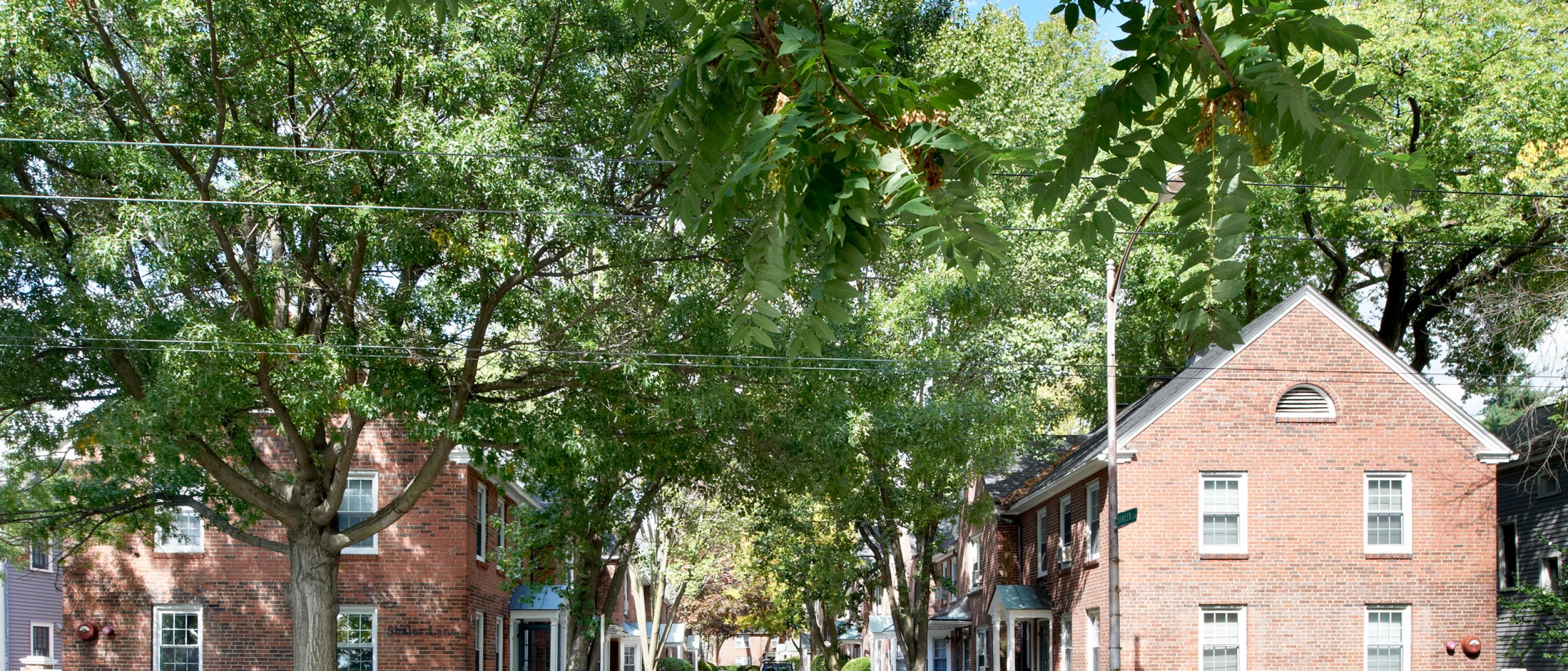 Shaler Lane Harvard University Housing