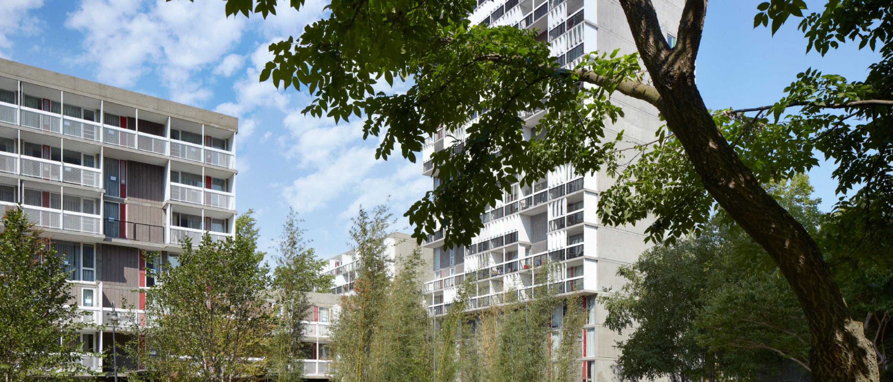 Peabody Terrace Harvard University Housing