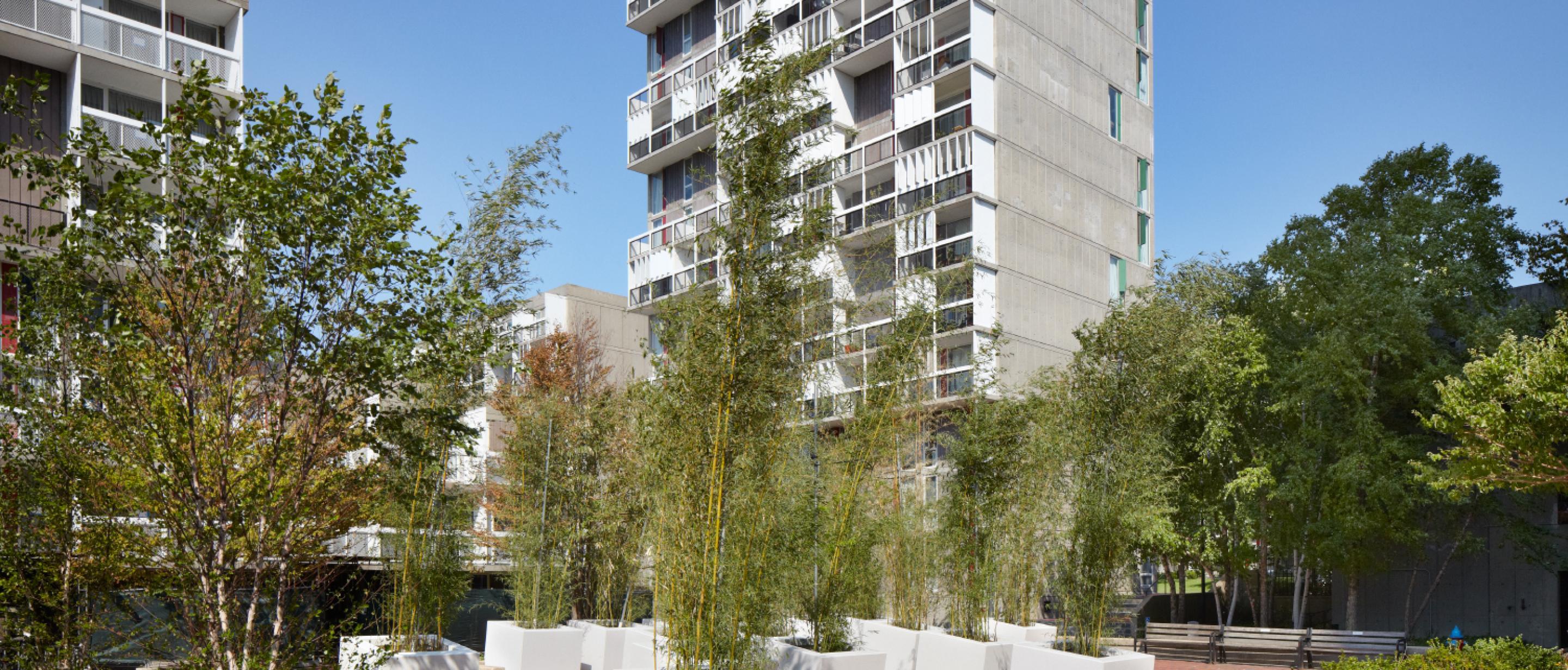 Peabody Terrace Harvard University Housing