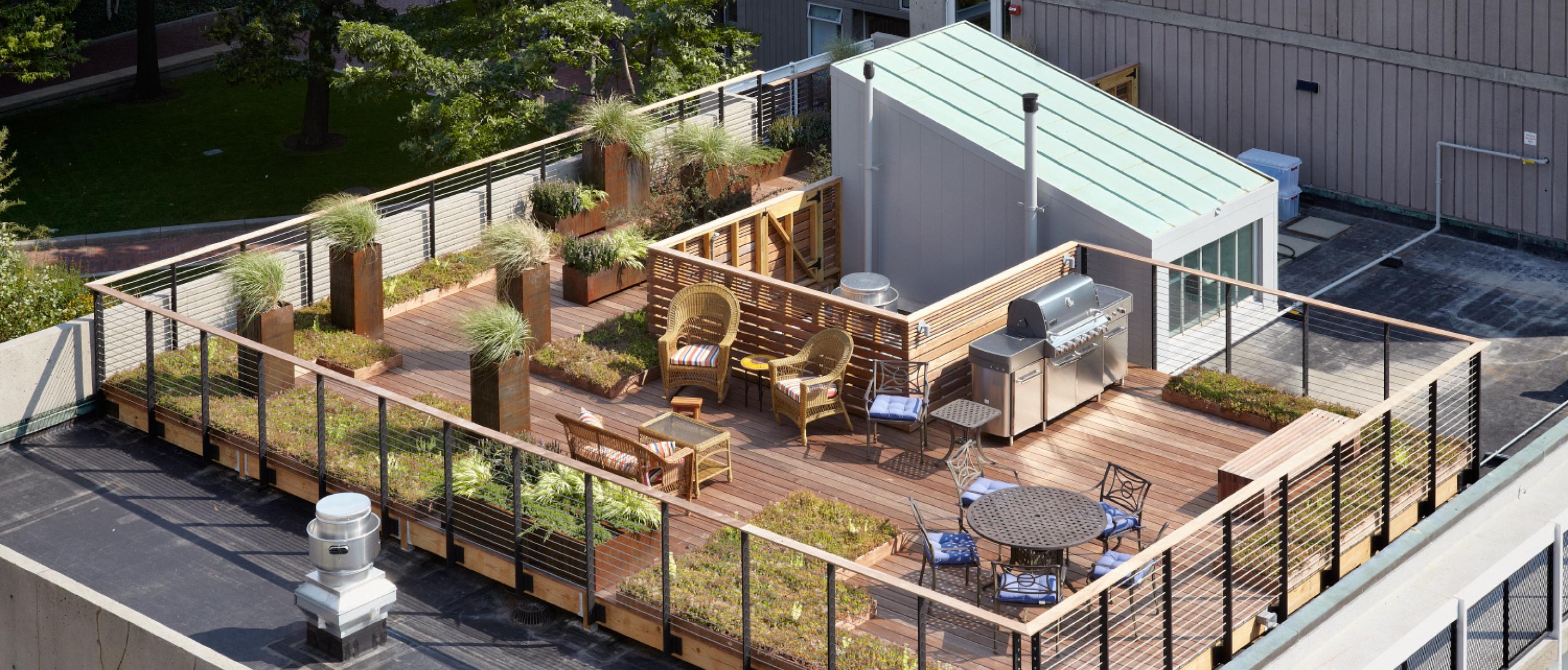 Peabody Terrace Harvard University Housing