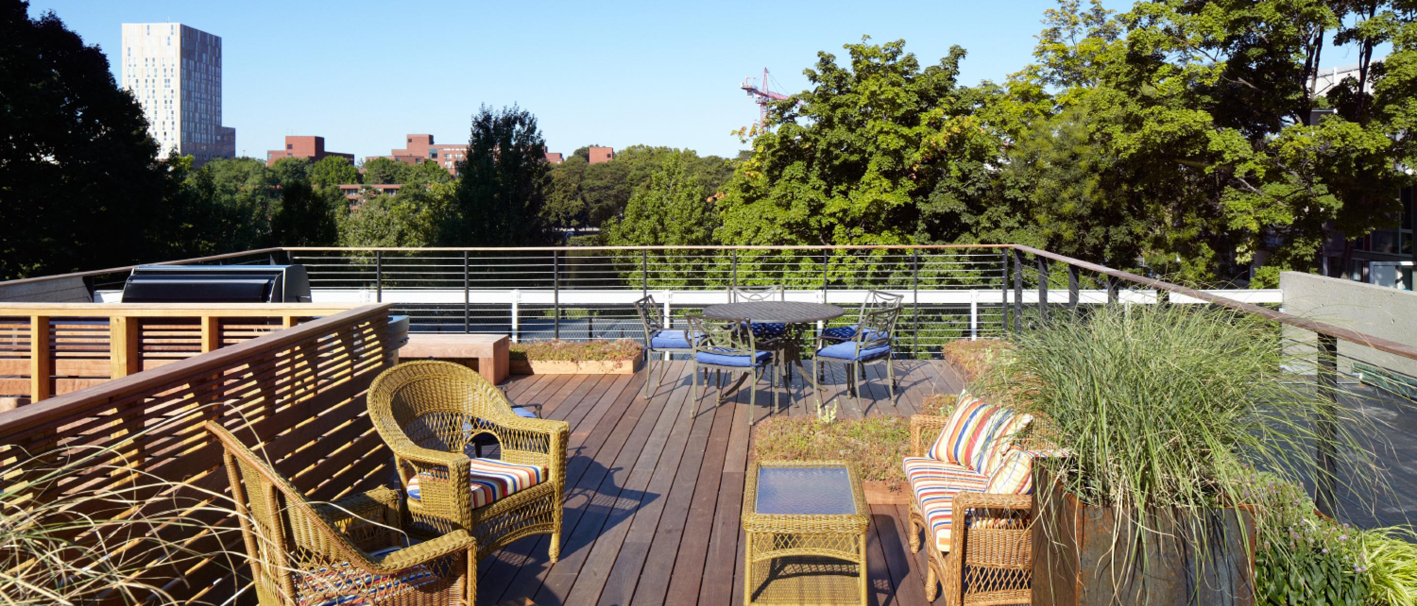 Peabody Terrace Harvard University Housing