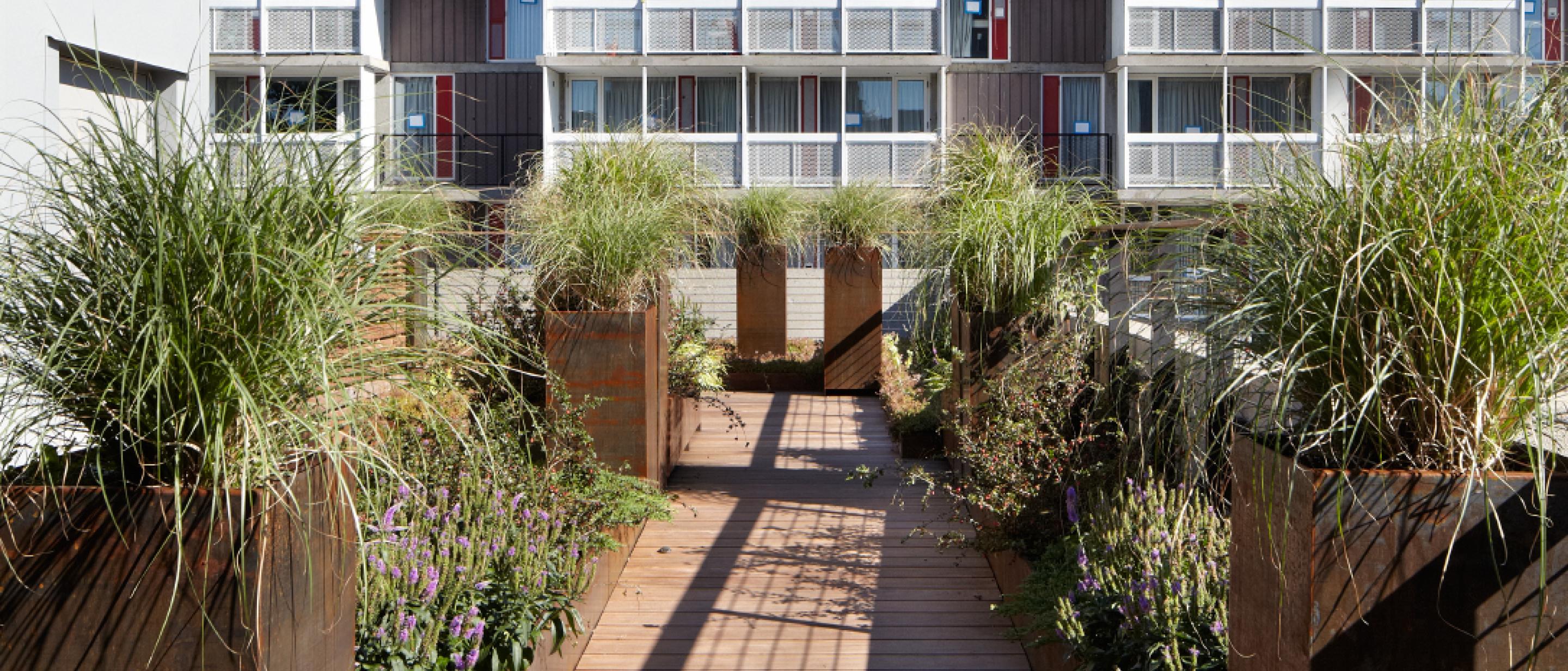 Peabody Terrace Harvard University Housing