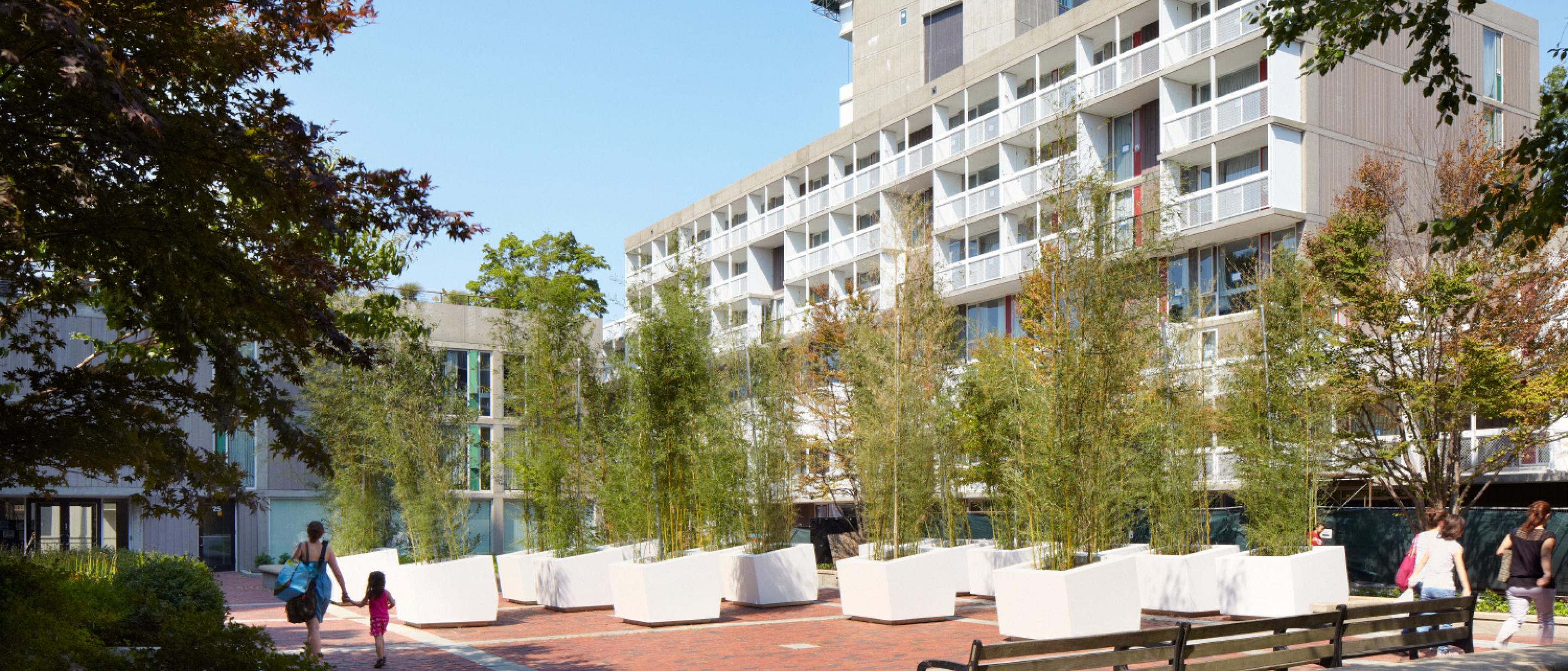 Peabody Terrace Harvard University Housing