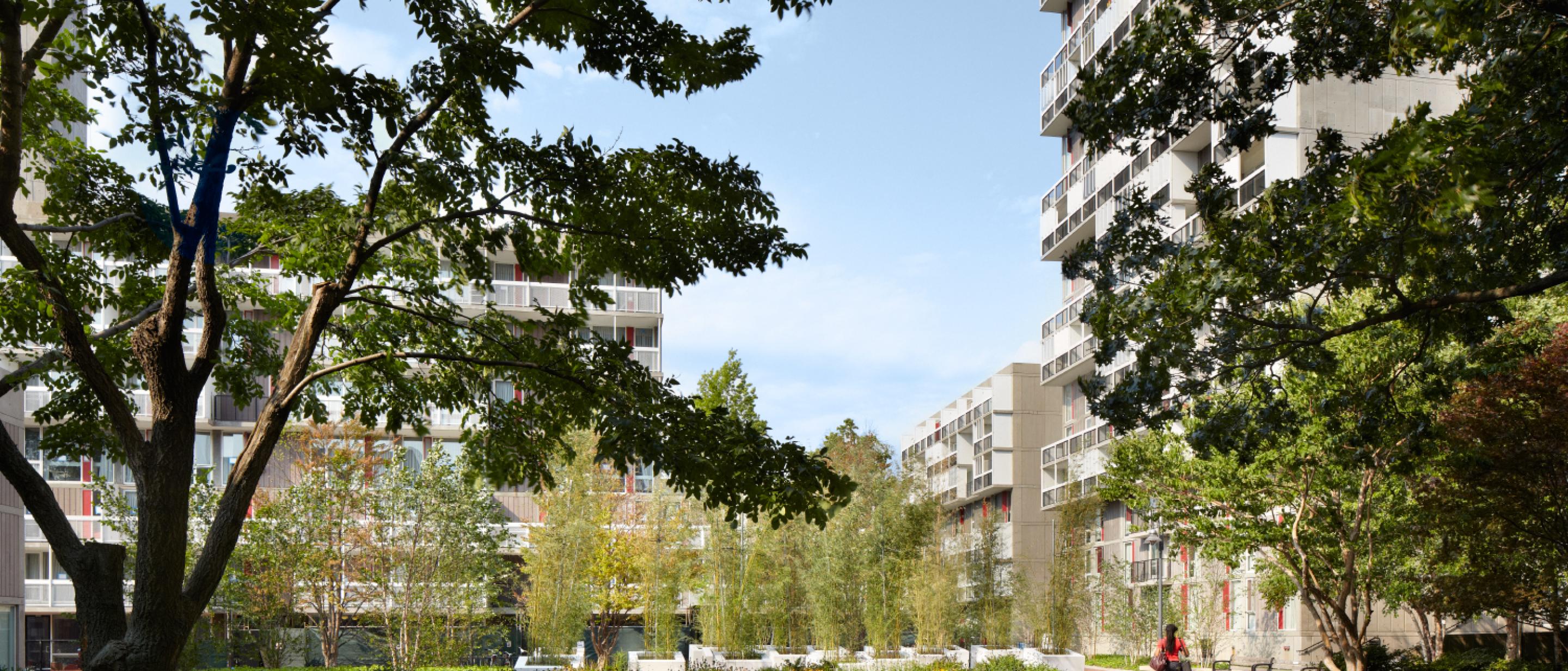 Peabody Terrace Harvard University Housing