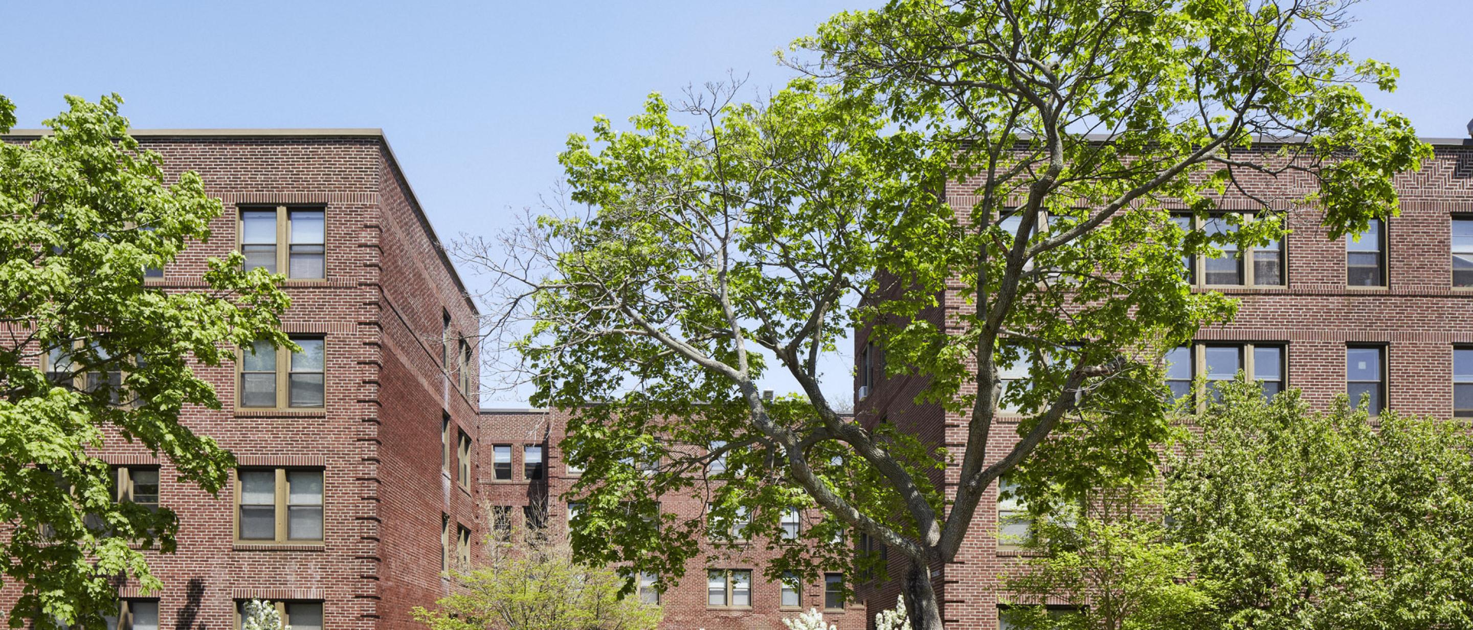 Terry Terrace Harvard University Housing