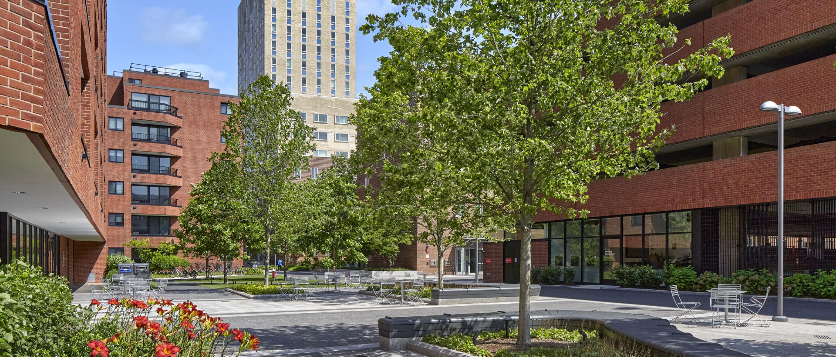 Soldiers Field Park Harvard University Housing