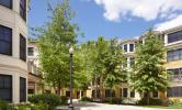 Pleasant Street Condos exterior